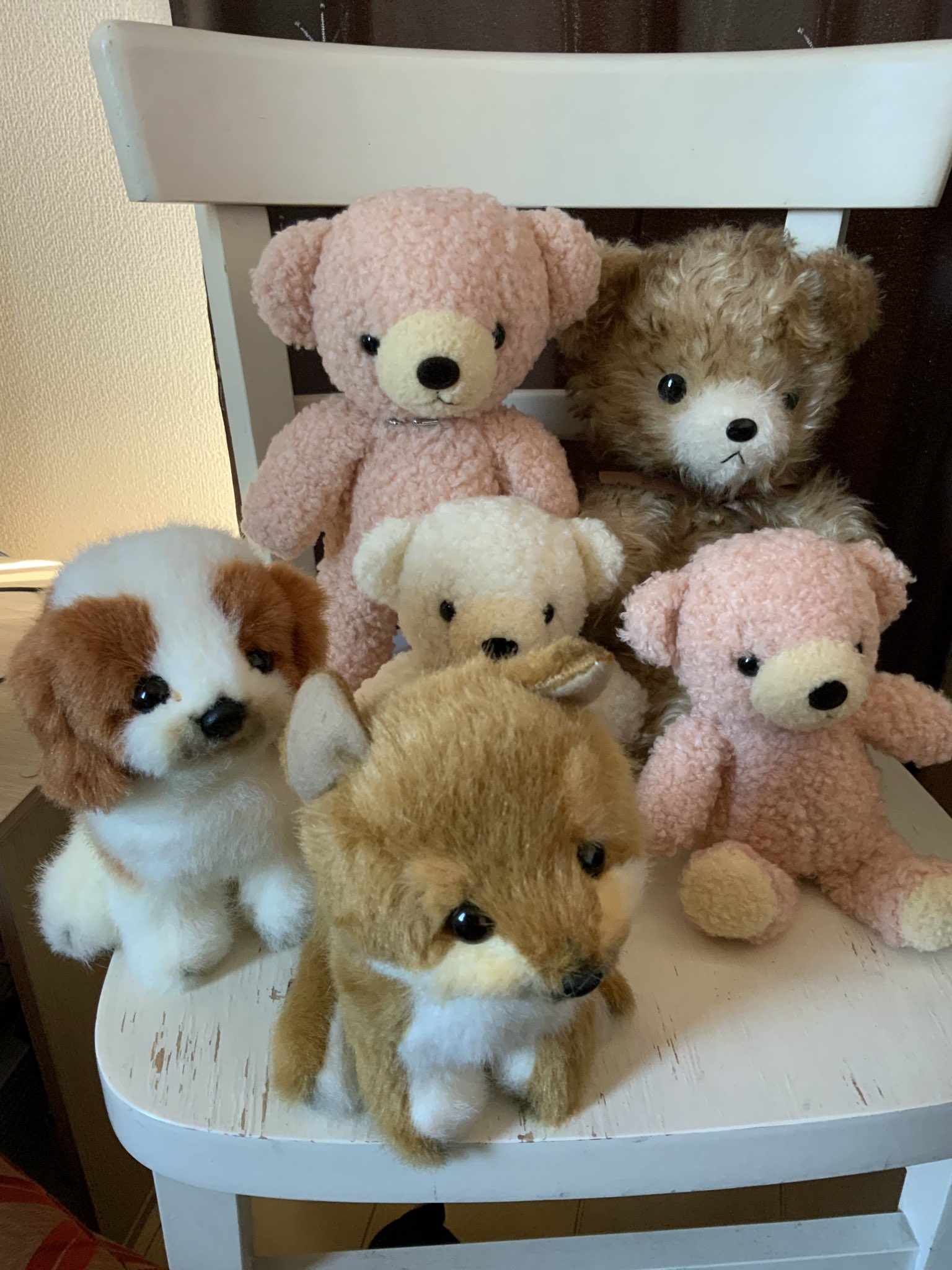 みやのさま専用♪童心ぬいぐるみ♪3点。 みやのさま専用♪童心ぬいぐるみ♪3点。 ぬいぐるみの童心【公式