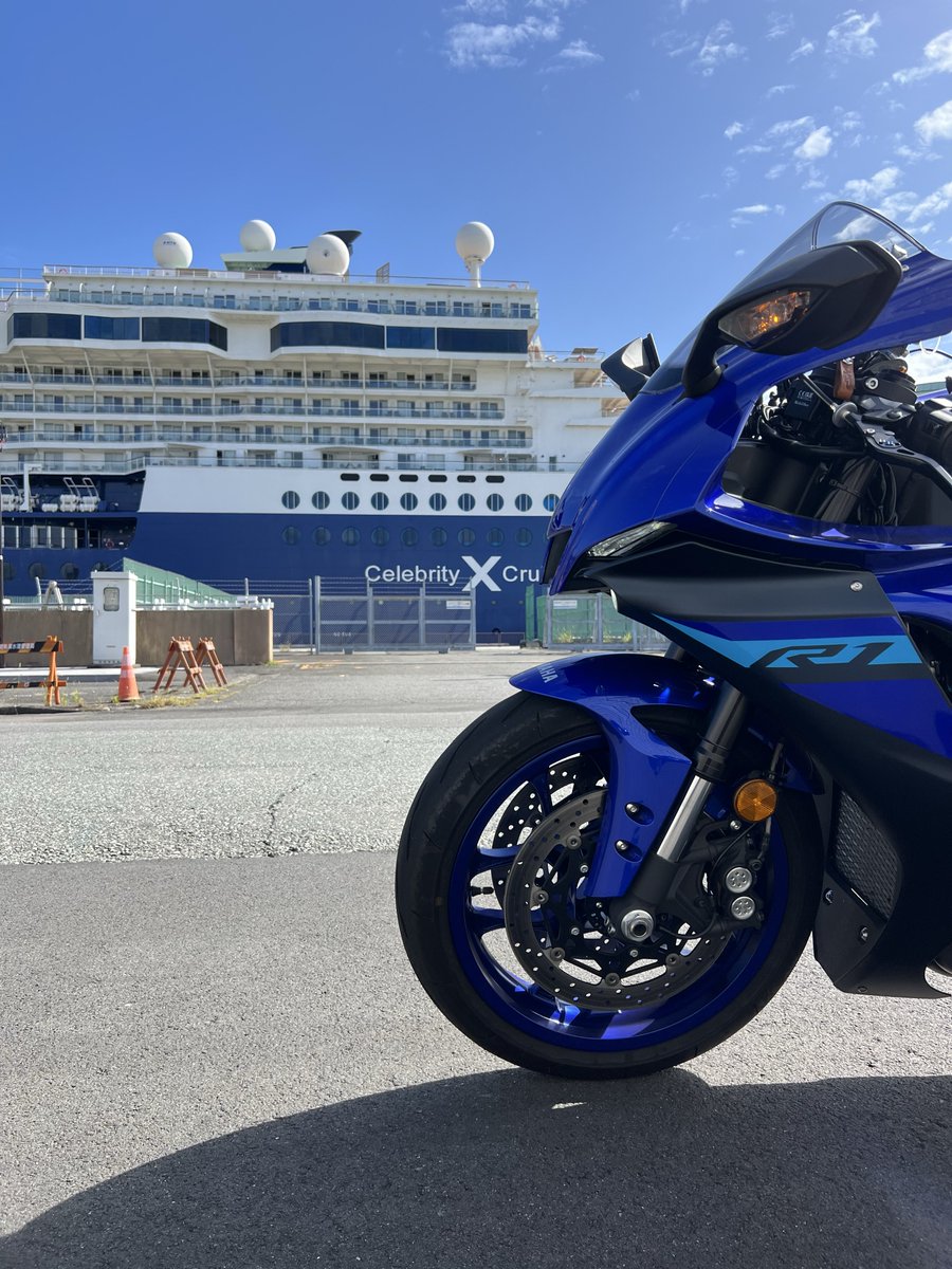 心機一転 新品 PROPLICA SHY 転心輪 : ブーストギア ヤフー店 - 通販