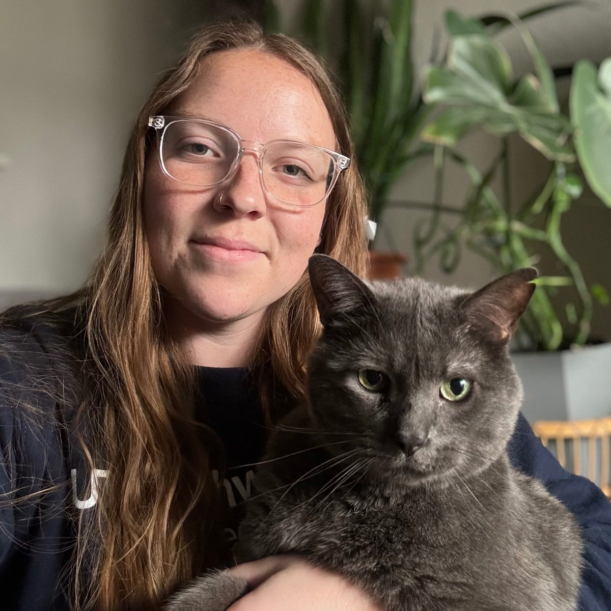 UTSW Veterinary Research and Oncology Clinic tweet media