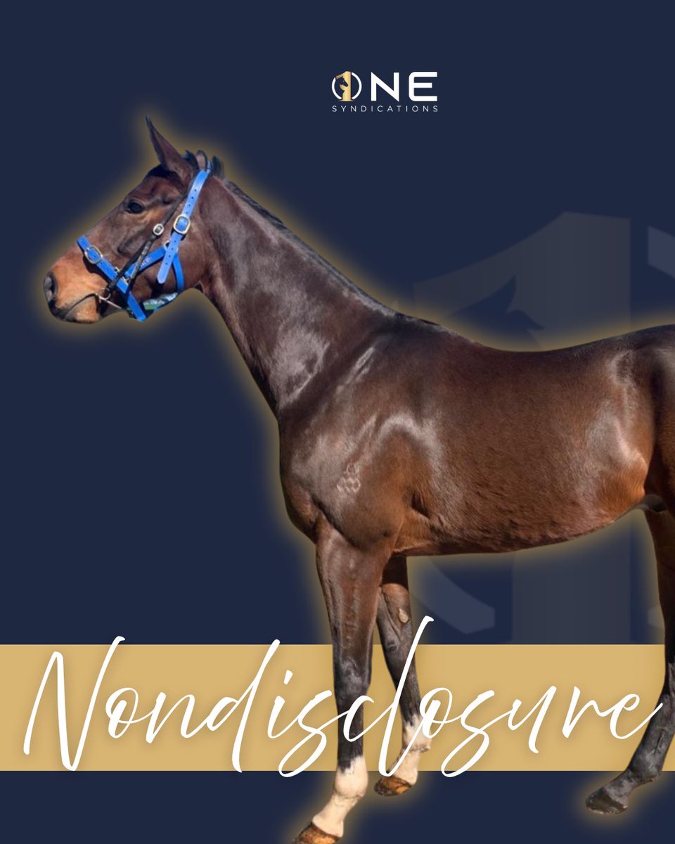 OneSyndications's tweet photo. Big day for the team today!

Races 1 &amp; 3
🇦🇺 FORTRESS AUSTRALIA
🚨 NONDISCLOSURE

🍻 Good luck to all our owners
📱 https://t.co/ANdeJIyfLI https://t.co/5po30hm0eY