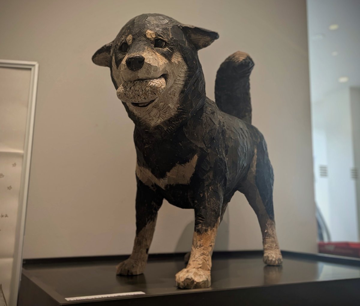 たんば恐竜博物館 on X