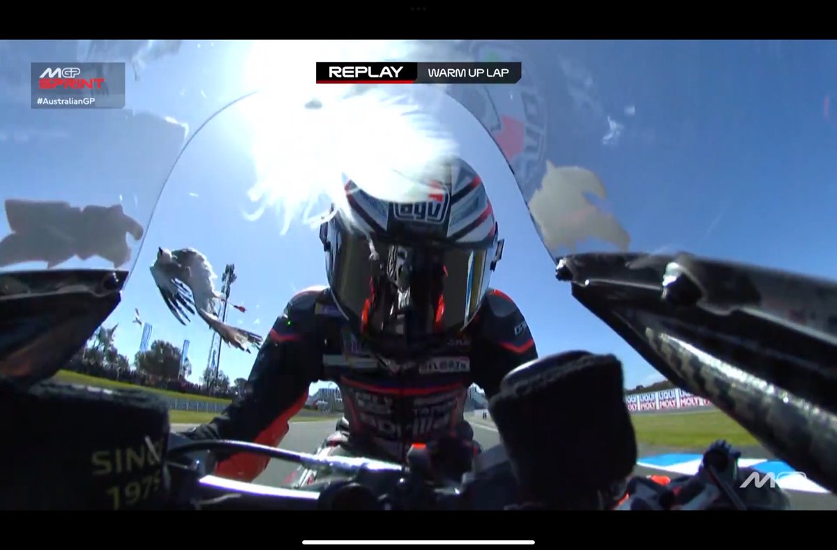 うわぁ

鳥さん。。。
マルコさんに激突💦

それでも、マルコさんトップ奪還😳

フィリップアイランドあるあるっちゃそうだけど(;´д｀)

#MotoGP