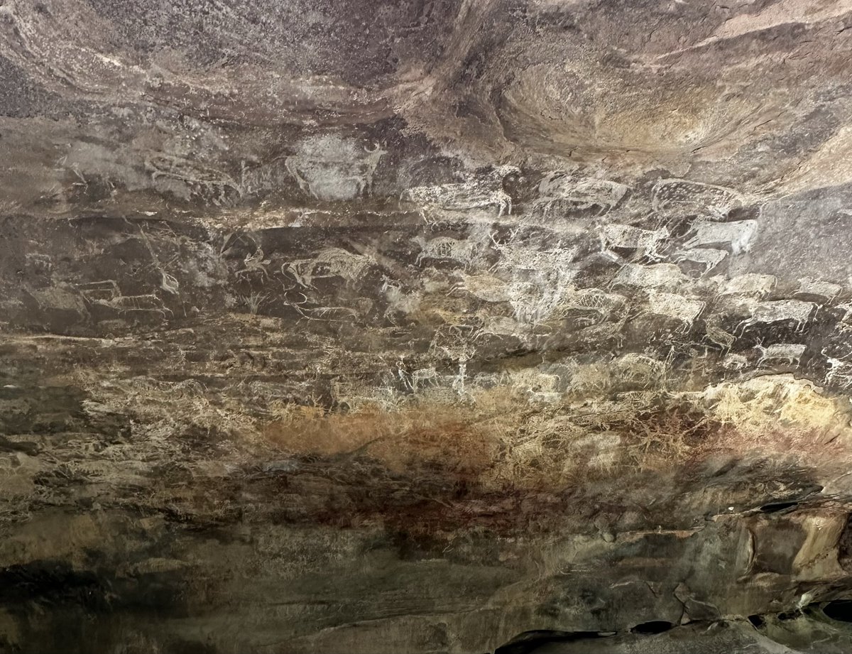 DrShaileshNaya1's tweet image. Visited Bhimbetka, near Bhopal, a world heritage site, rock shelters with pre-historic paintings. Some of them are 30,000 years old, describes early life of human being, continuity of human evolution & developments of tools. It needs better protection and preservation.
