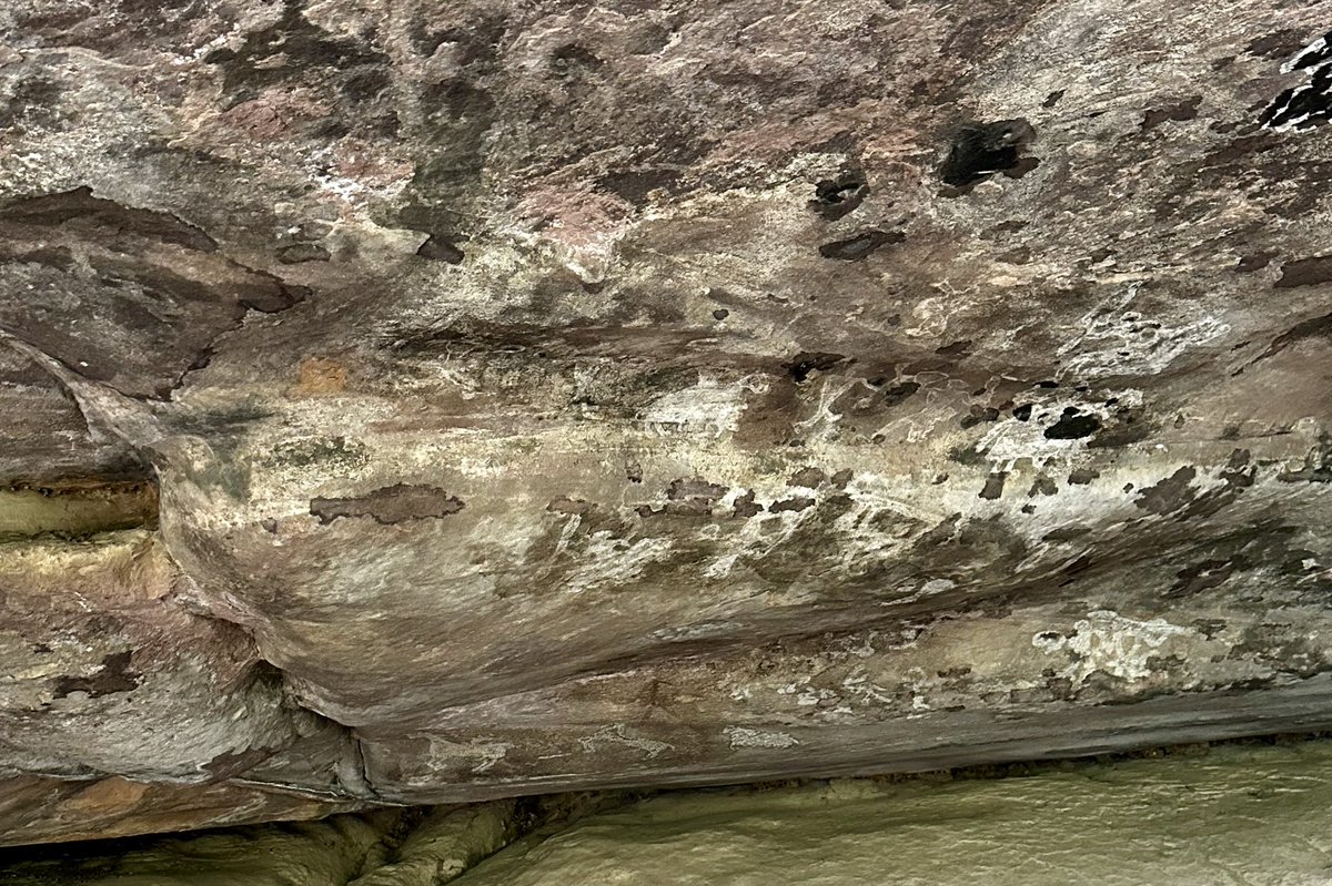 DrShaileshNaya1's tweet image. Visited Bhimbetka, near Bhopal, a world heritage site, rock shelters with pre-historic paintings. Some of them are 30,000 years old, describes early life of human being, continuity of human evolution & developments of tools. It needs better protection and preservation.