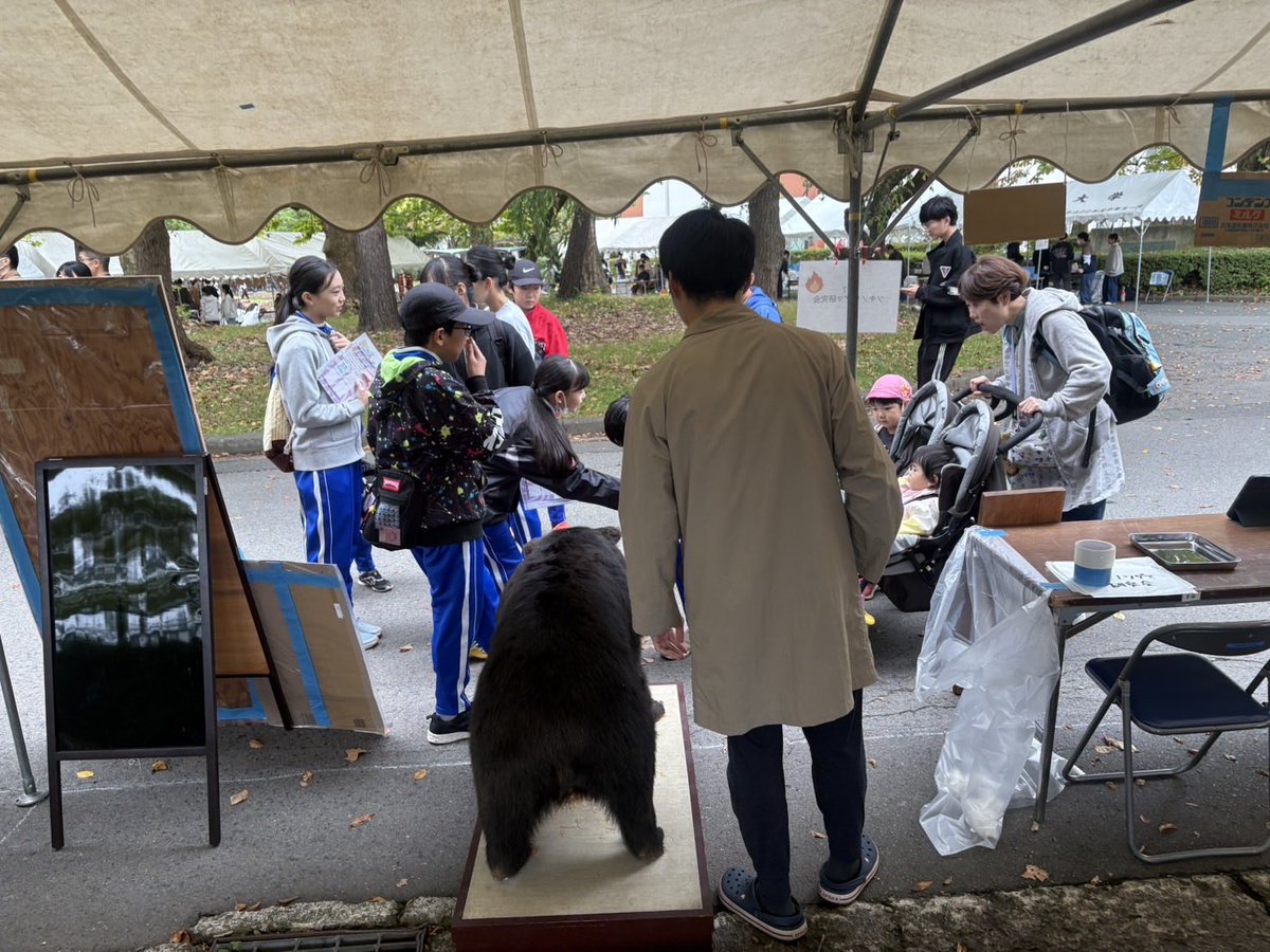 岩手大学ツキノワグマ研究会 tweet media