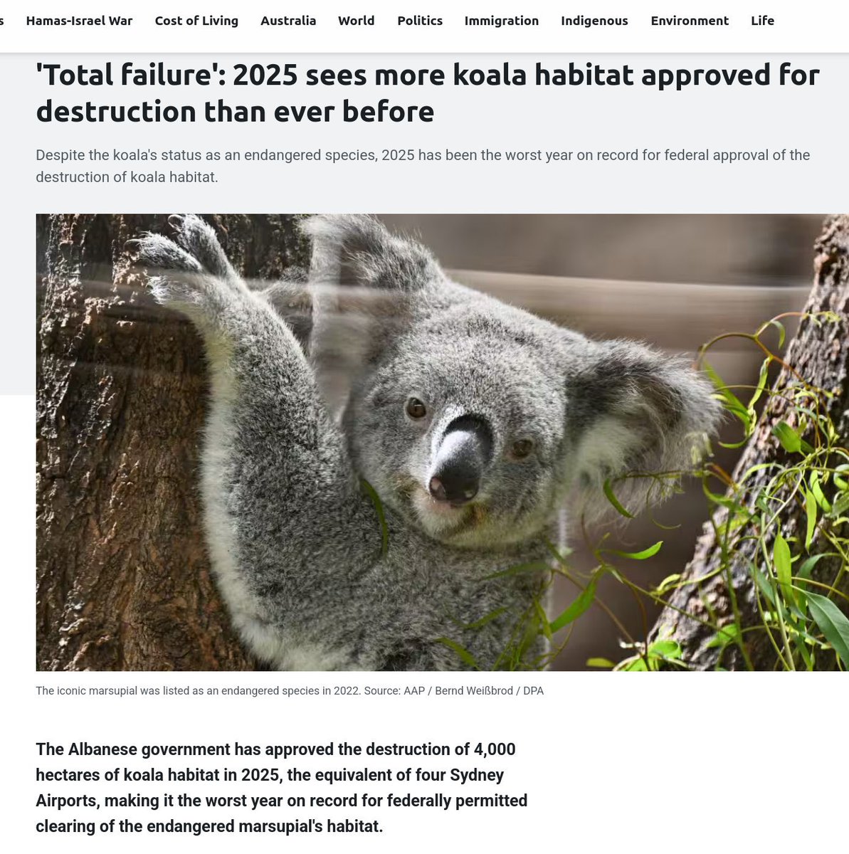 Karmageddon67's tweet image. That’s just FLAGRANT BULLSHIT.
#auspol #qldpol #politas #ausenviro