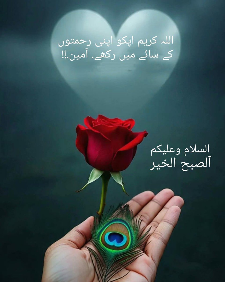 السلام علیکم ! اے اللہ پاک ہمیں اپنی رحمت، برکت اور رضا سے نواز دے،مصائب و مشکلات سے خلاصی عطا فرما اور زمانے بھر میں معتبر کردے آمین، صبح بخیر