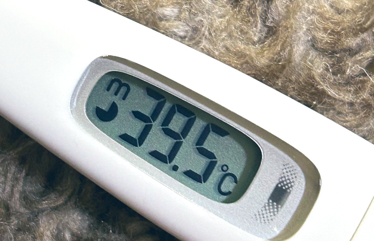 きなこ (@azkinakoo) / Posts and Replies / X きなこ (@azkinakoo) / Posts and Replies / X