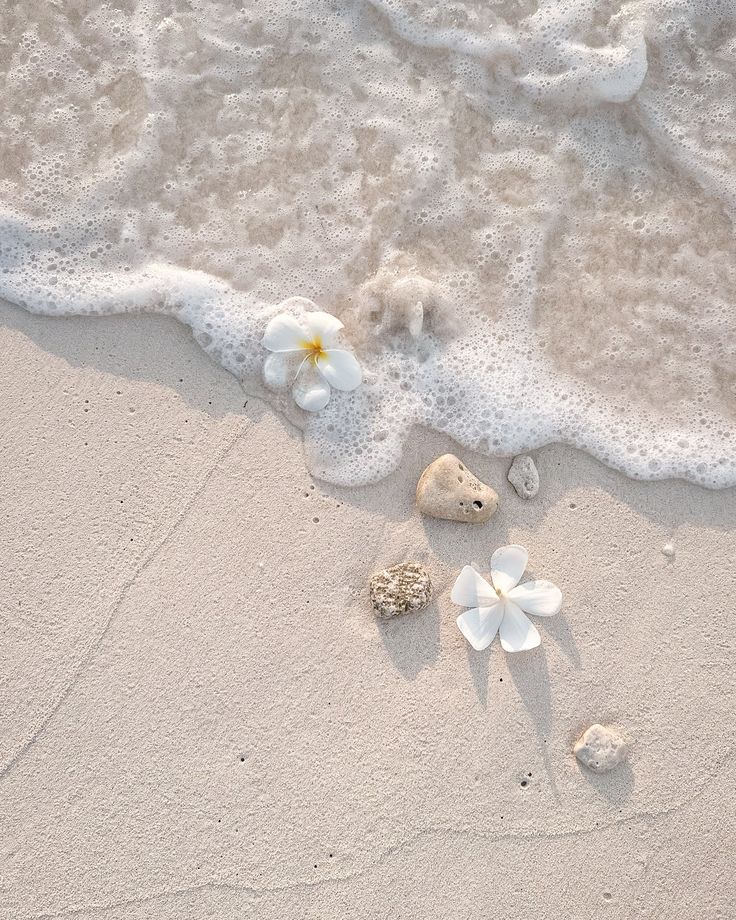 arabbel9la's tweet image. ࣪  ㅤ  𓇼 ࣪  𓈒  ㅤ #21Orchids𝑓𝑜𝑟Vico      ·     ﹙ 𝑠𝑒𝑎 ​​𝑛𝑑 𝑏𝑒𝑎𝑐ℎ ﹚ ⭒ 𓆡        ·      · #Sincerely꯳⃘꤫⃛͡Vico