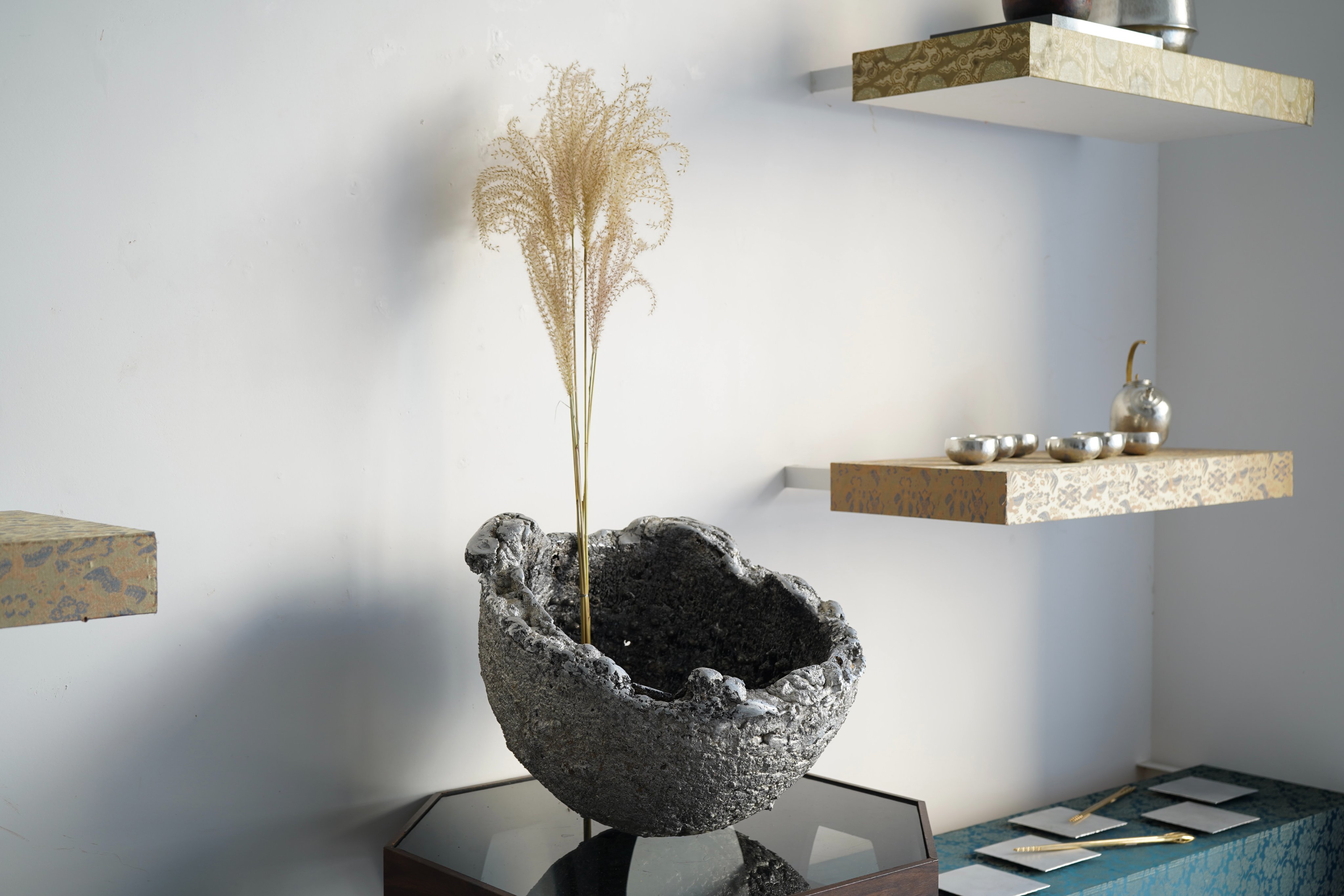 白泉社50年史　非売品 白泉社50年史 非売品 白泉社50年史 非売品