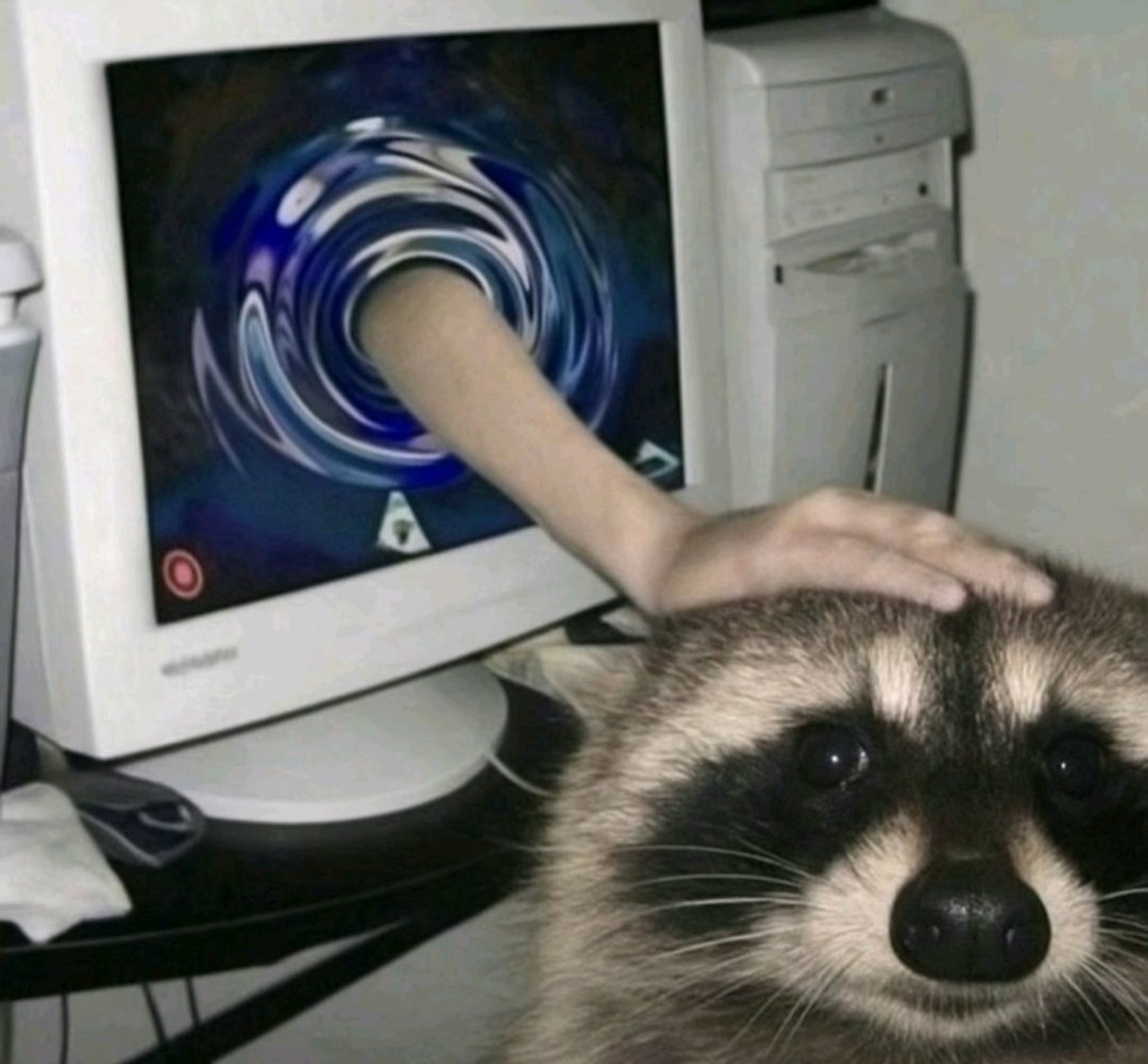 ShouldHaveRacc's tweet image. pets you as you scroll