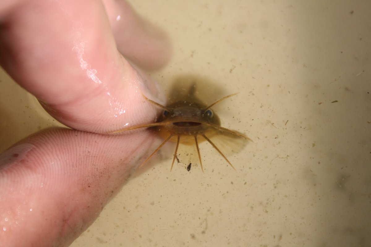 私は彼らの笑顔を捉えた