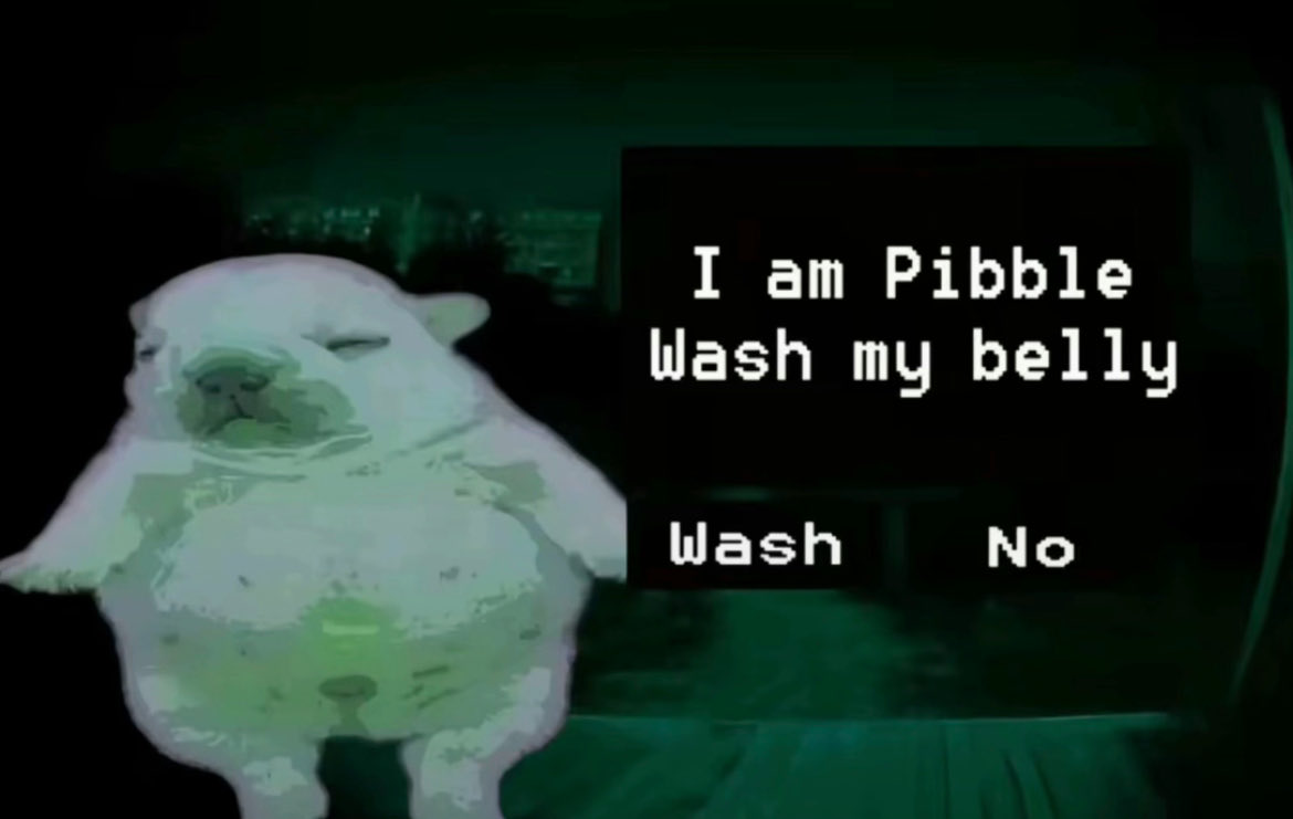 PibblePage's tweet image. 