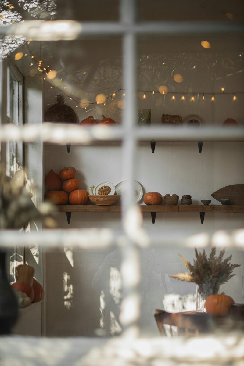 homeprodecor3's tweet image. 🎃🍂 Light up your breezeway this Halloween with pumpkins &amp;amp; candles — a cozy, glowing path to spooky delight! 🕯️✨
👉 homeprodecor.com
#HalloweenDecor #FallVibes #HomeProDecor