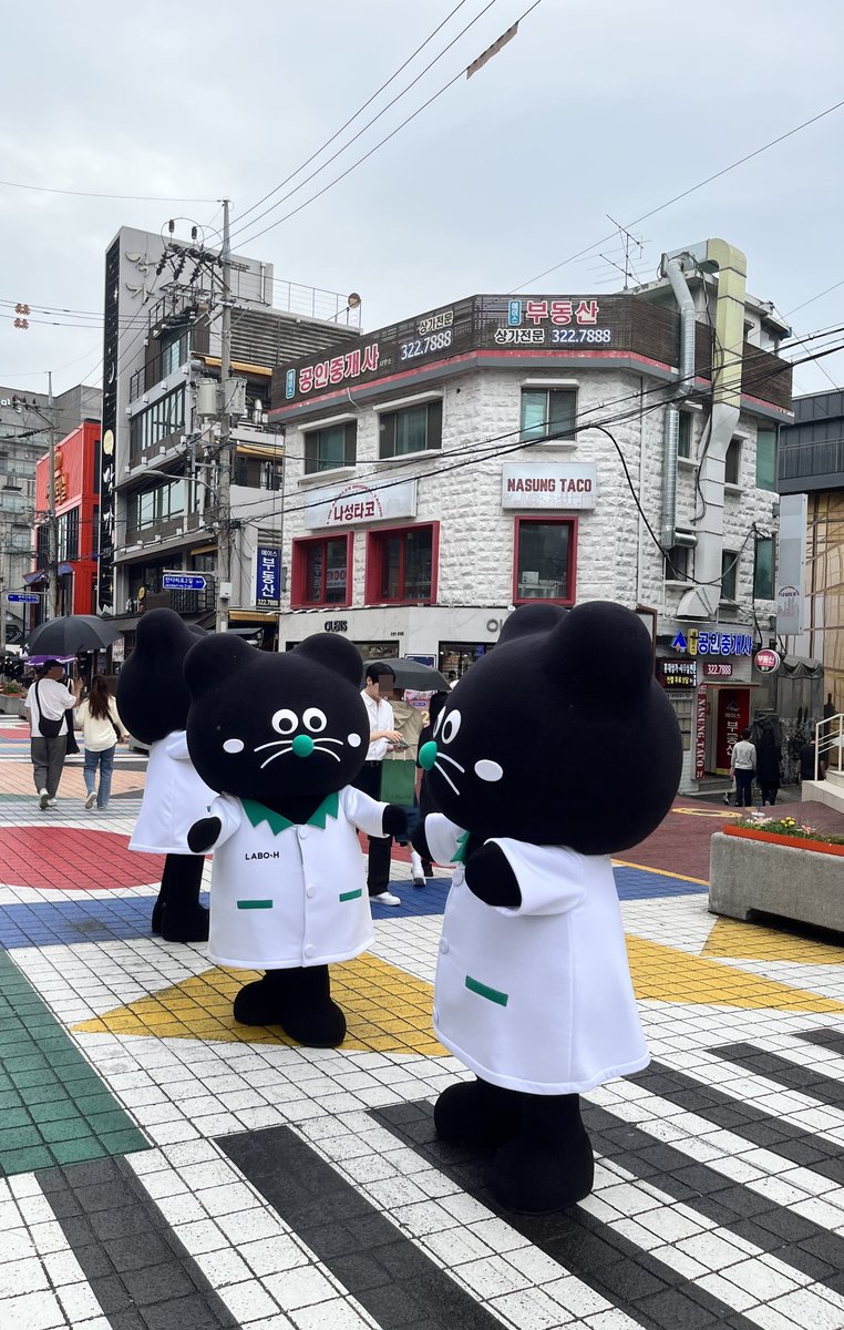 #광고
바로 오늘 홍대 올리브영 일대에 둡희가 뜬다!💚💛
모남희 키링 실사판 그대로인 둡희가 돌아다니면서 라보에이치 본품 선물까지 나눠주는데… 말잇못🥲
하루에 3번만 등장하니까 시간 잘 맞춰서 가야 하고,
포동포동 귀여운 둡희 실물 보고 사진도 찍으면 완전 행복~ 200%✨