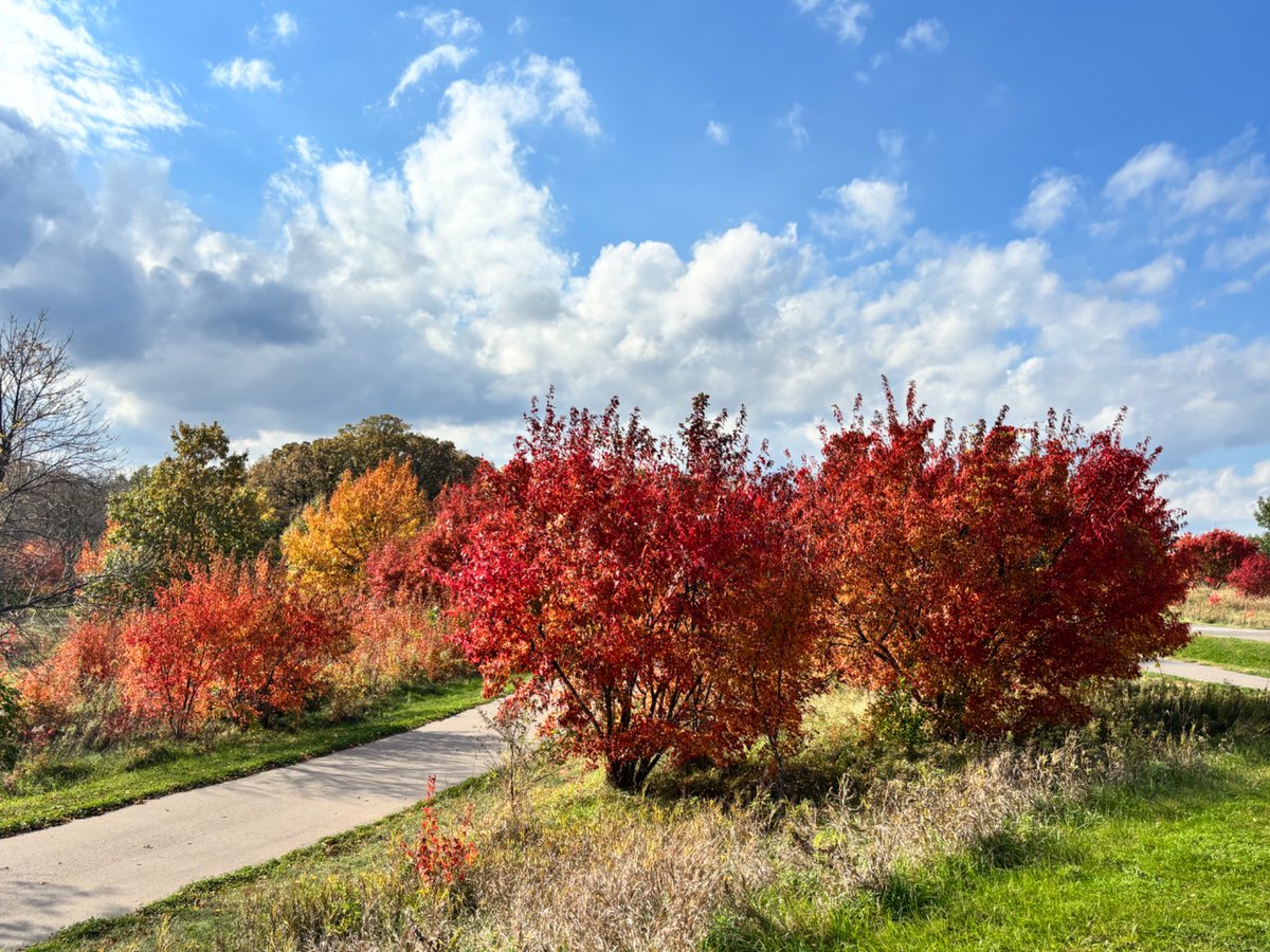 Rachel Werner tweet media