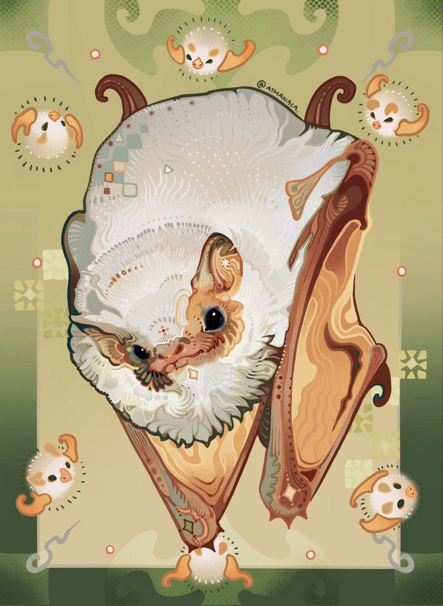 Some white fluffy bats!🦇 

#illustration #digitalart #art #animal #bat #wildlife #wildanimal #animalart #nature #creatures