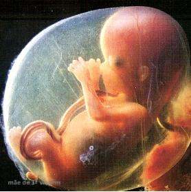 levisback's tweet photo. Isso é diabólico.

Um bebê de 12 semanas: https://t.co/PlUZkxYffj
