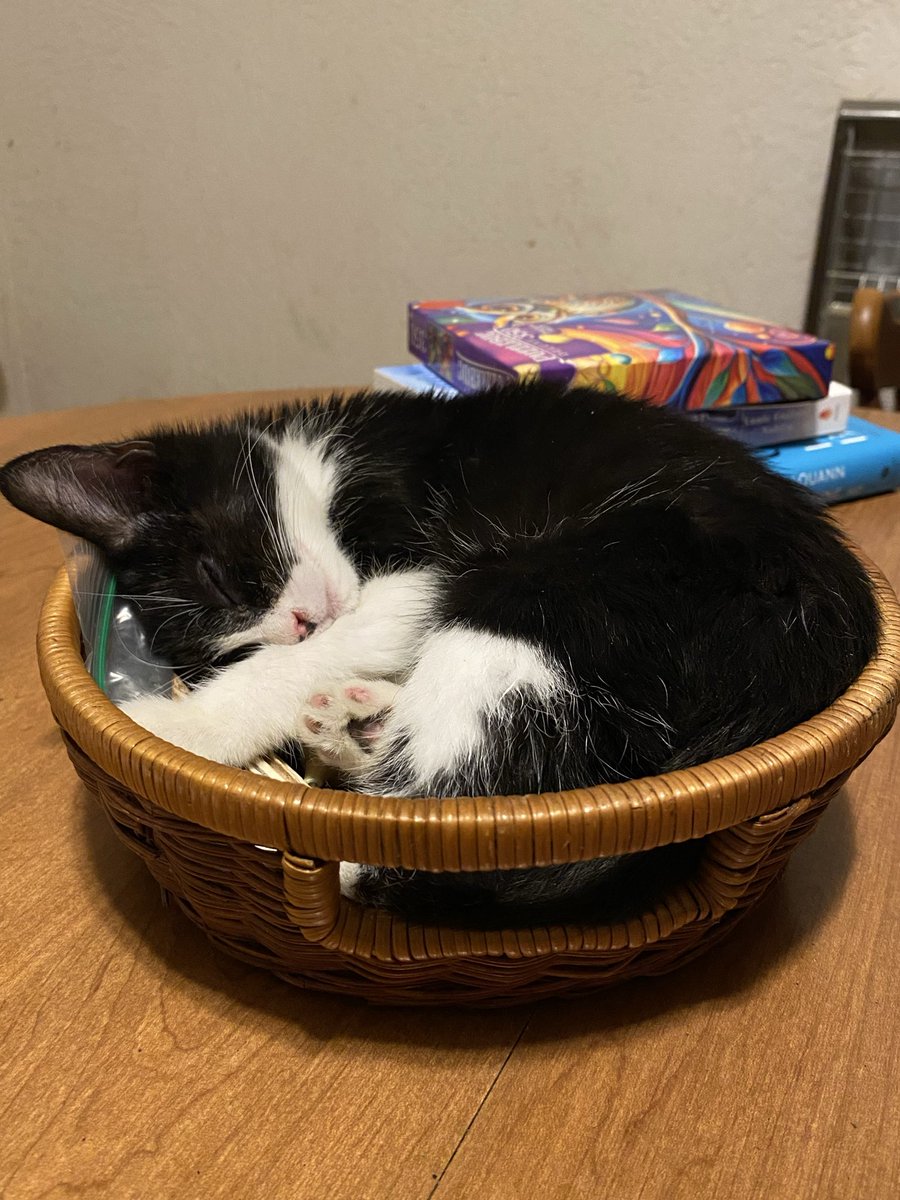 Young Mr Marshal is a bit of a basket case tonight
