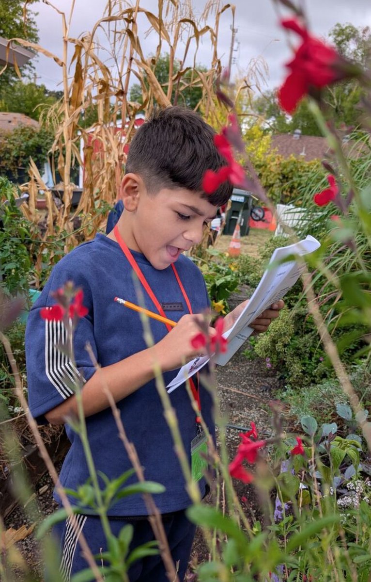 No caption necessary! 🌻