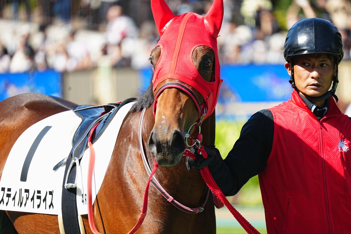 まめちゃん。 まめちゃん”ことスティルアイライズがデビュー戦18着 祖母