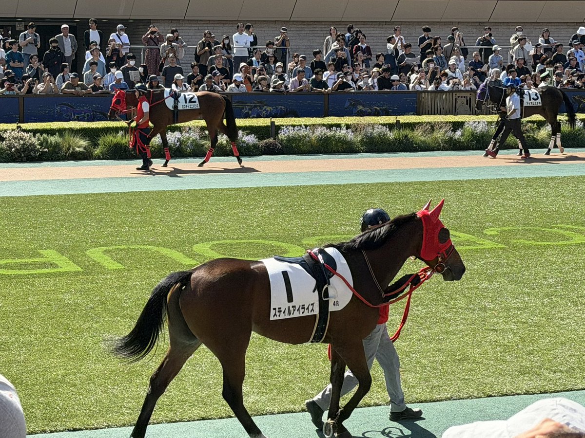 まめちゃん！！現地来れてよかった