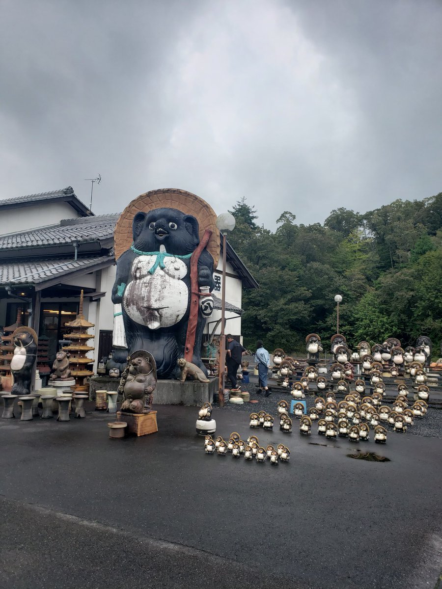 タヌキいっぱい‼️