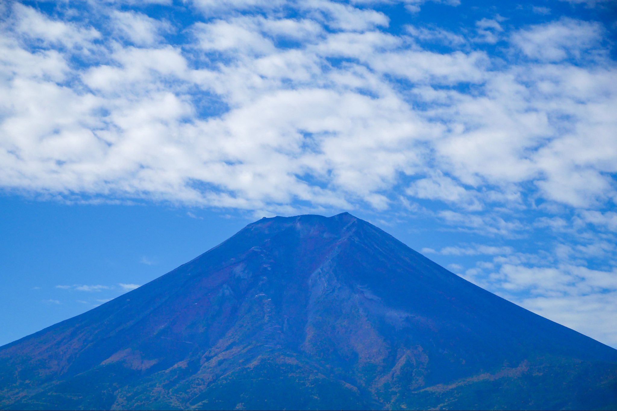 雲 2025 Kawasaki ZX636, K | JKBZXJK13SA008515 | BidCars