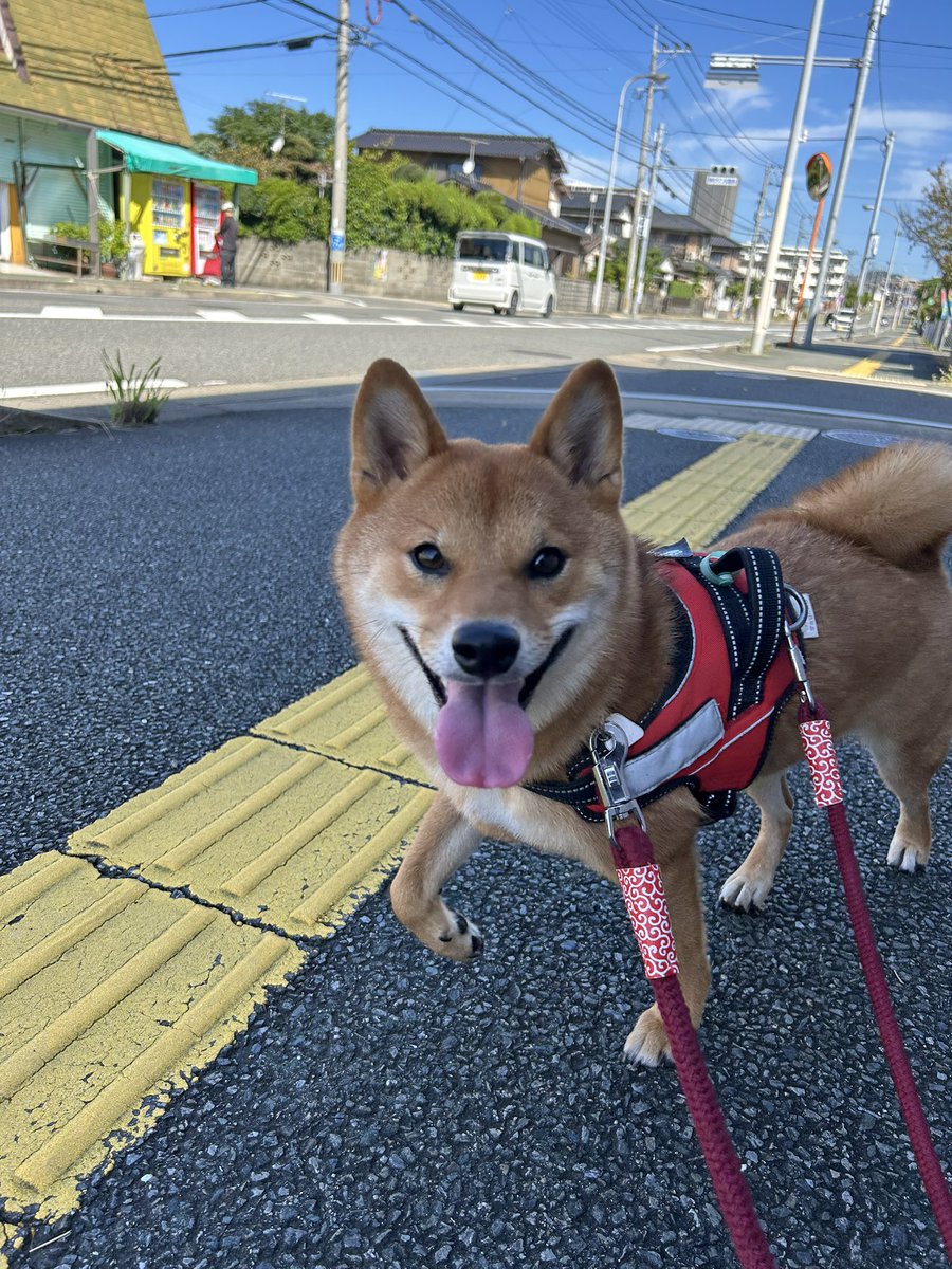 ルンルンで病院行きますた🥹🫶
