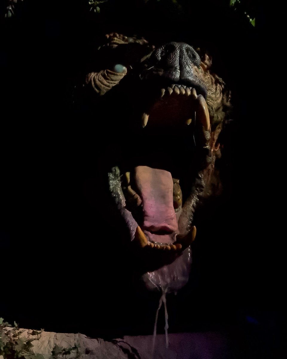 One humongous Bear 🐻 
<a href="/john_murdy/">John Murdy 🎃</a> 
#UniversalHHN