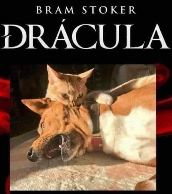😂