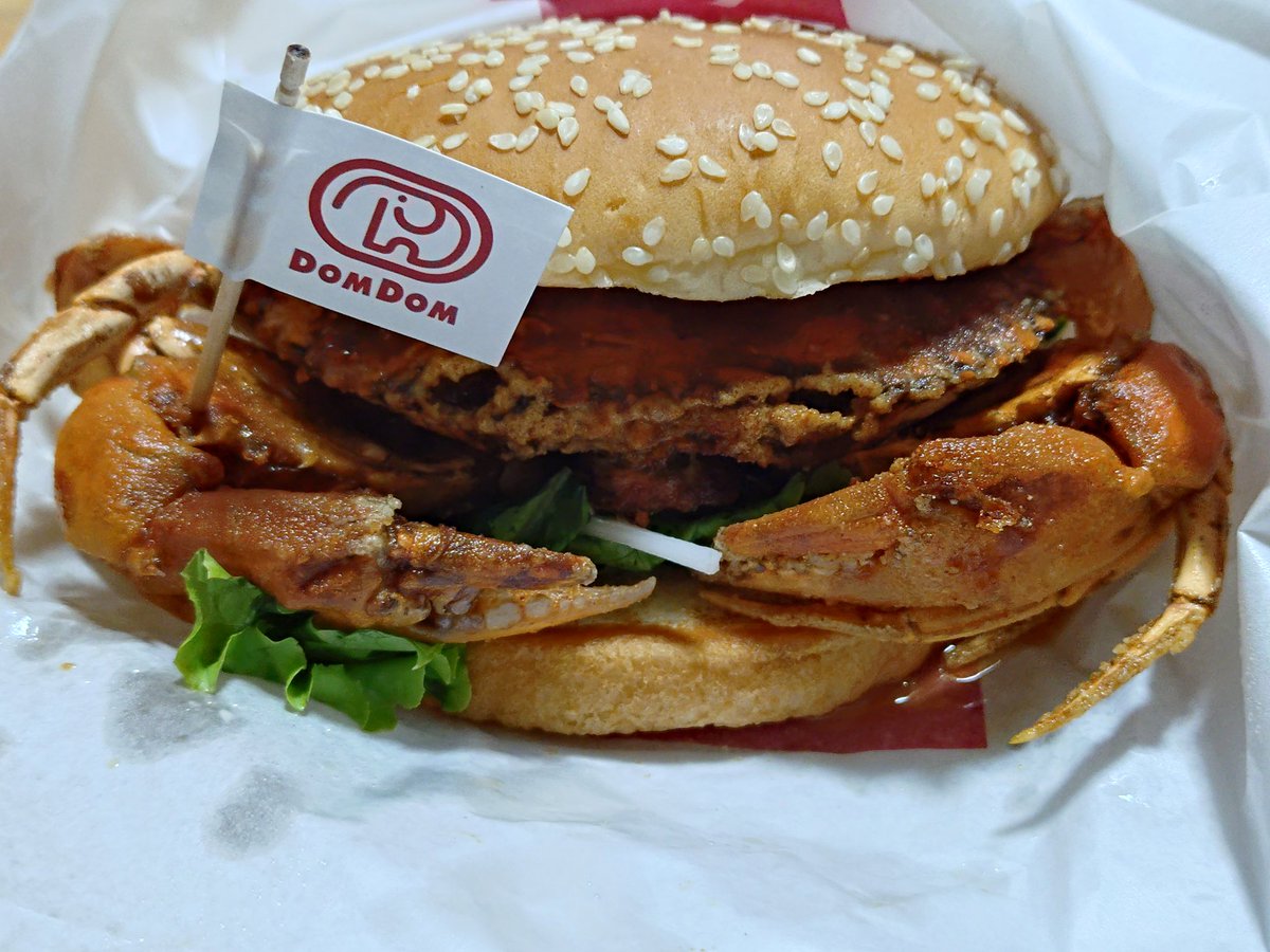 幽体オオヤマネコ (@lynxspectr55802) on Twitter photo 