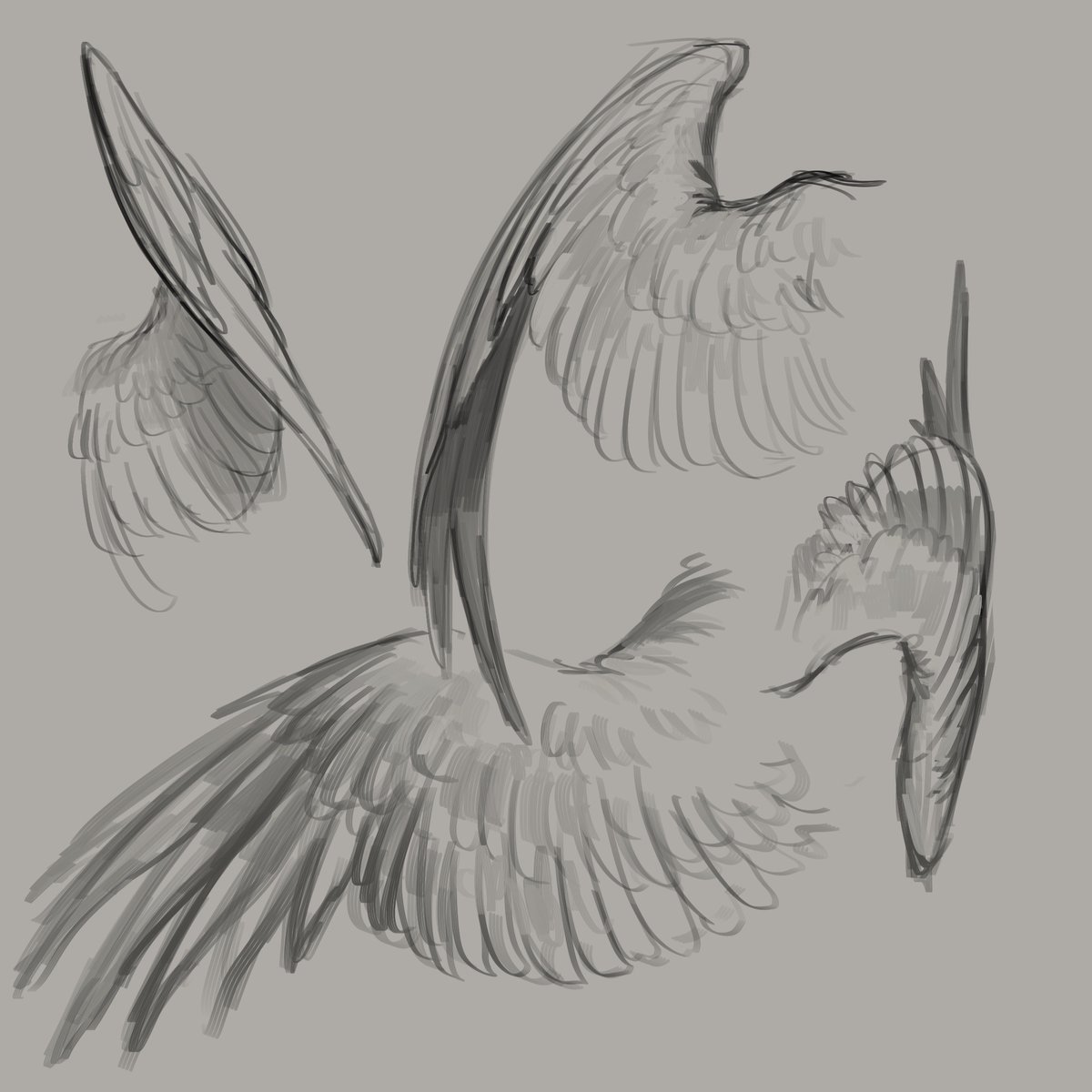 Kaoskiam's tweet image. Wing practice.