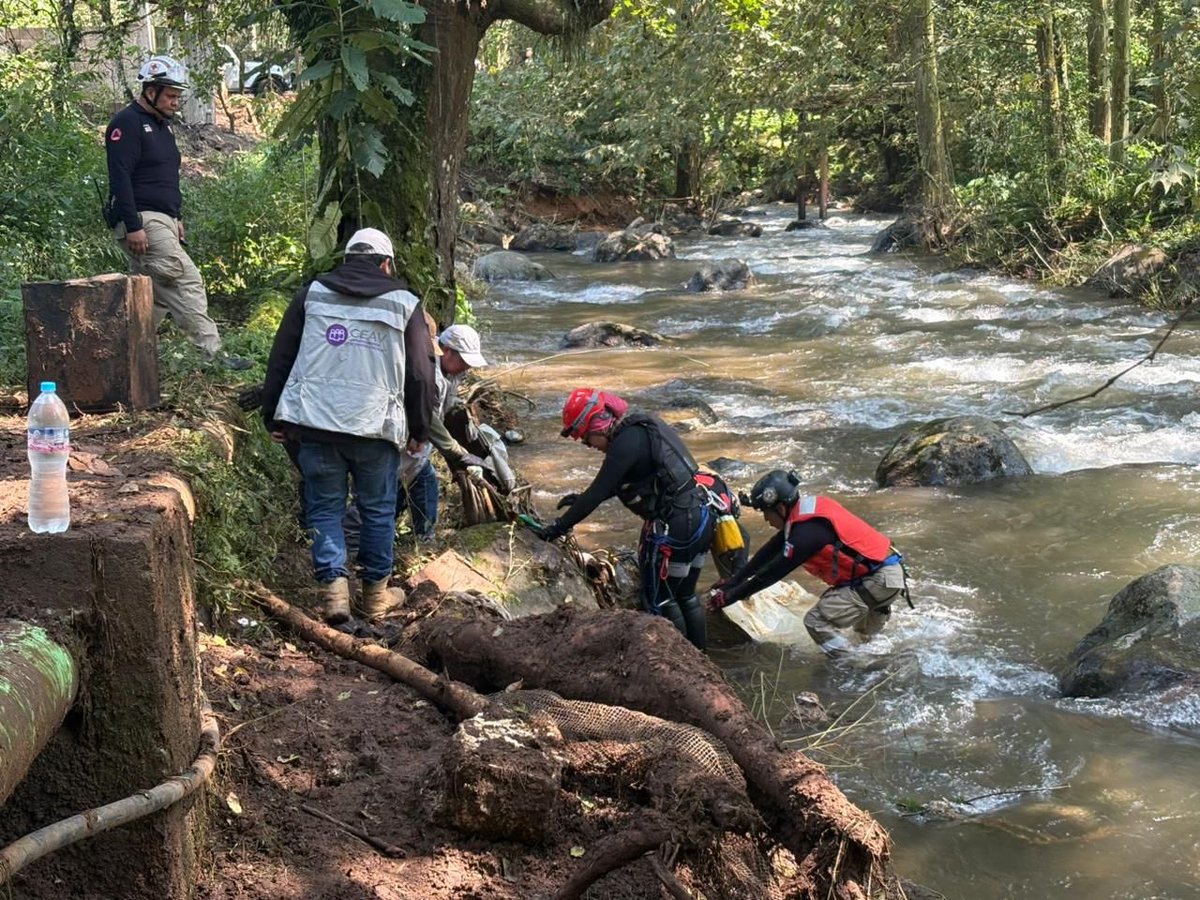 arturomedinap's tweet photo. El @GobiernoMX brinda atención directa a la población afectada por las lluvias e inundaciones en Veracruz, Puebla e Hidalgo.

La @SEGOB_mx, a través de la @CEAVmex y sus Centros de Atención Integral da  acompañamiento psicológico, legal y apoyo a las familias de personas fallecidas, no localizadas o lesionadas.

Trabajamos en territorio, en coordinación con autoridades locales, para apoyar a las comunidades y avanzar en su recuperación. 🇲🇽