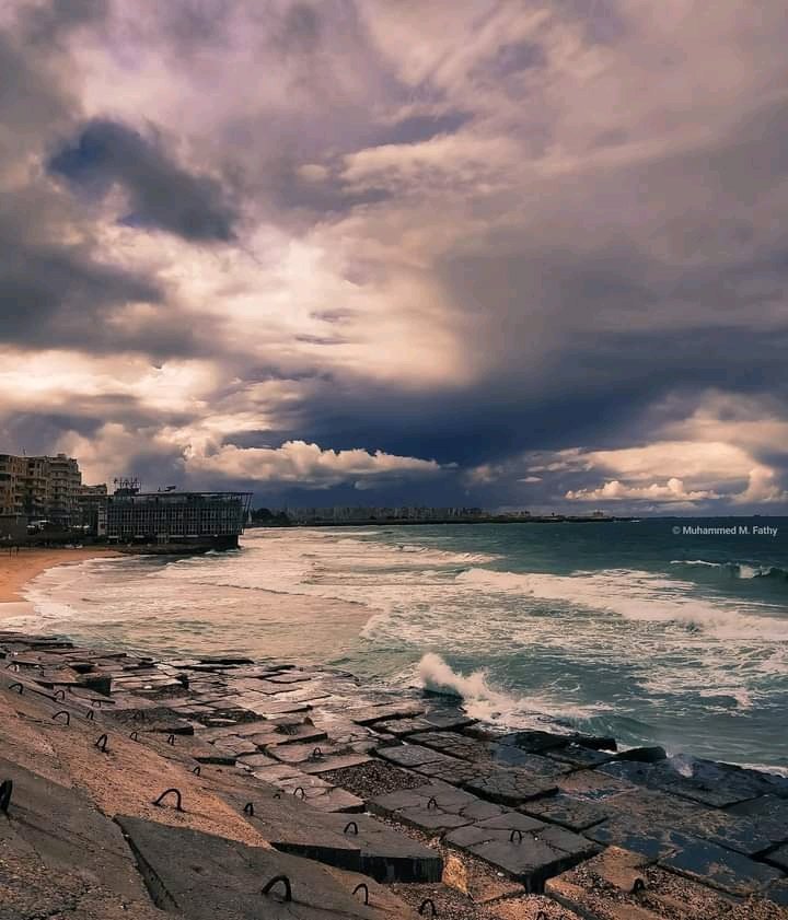 ﻧــجـ𓅓ــم🇾🇪الـــيـمــ𓅓ــن tweet media