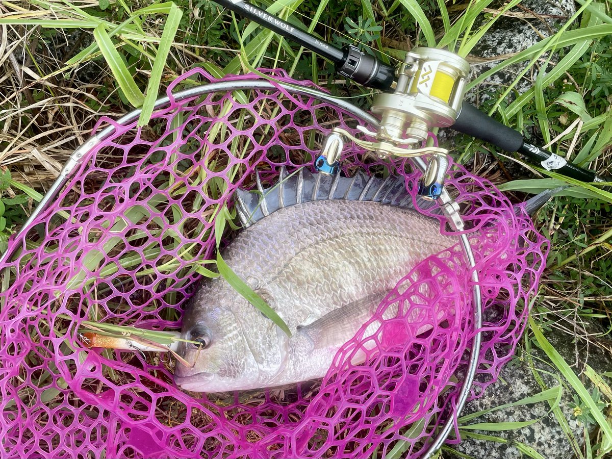 さんぐー (@macatic) / Posts / X