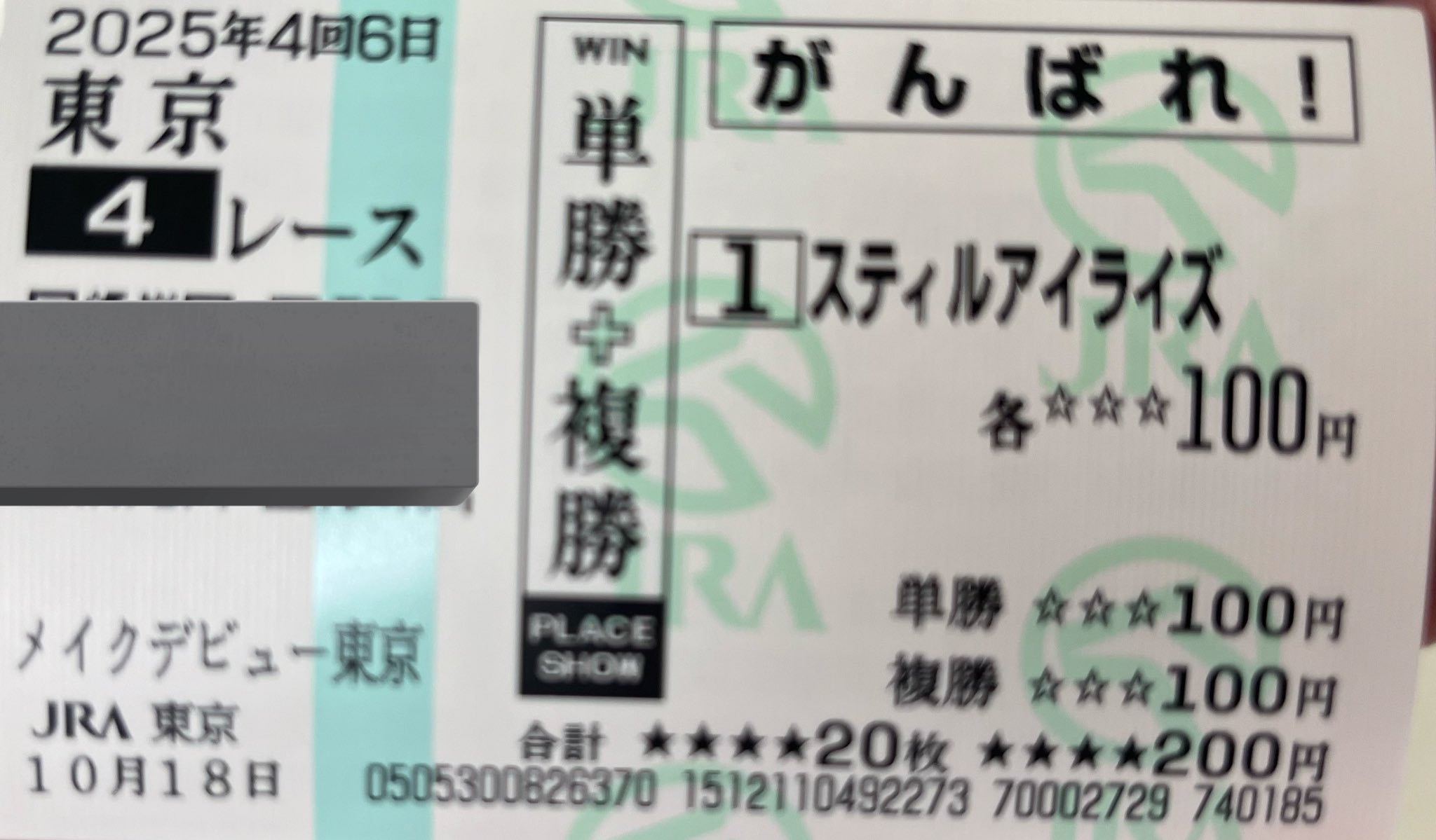 ダイワスカーレット　勝馬投票券 単勝馬券 期限切れ単勝馬券】 シンザン記念 2007 ダイワ