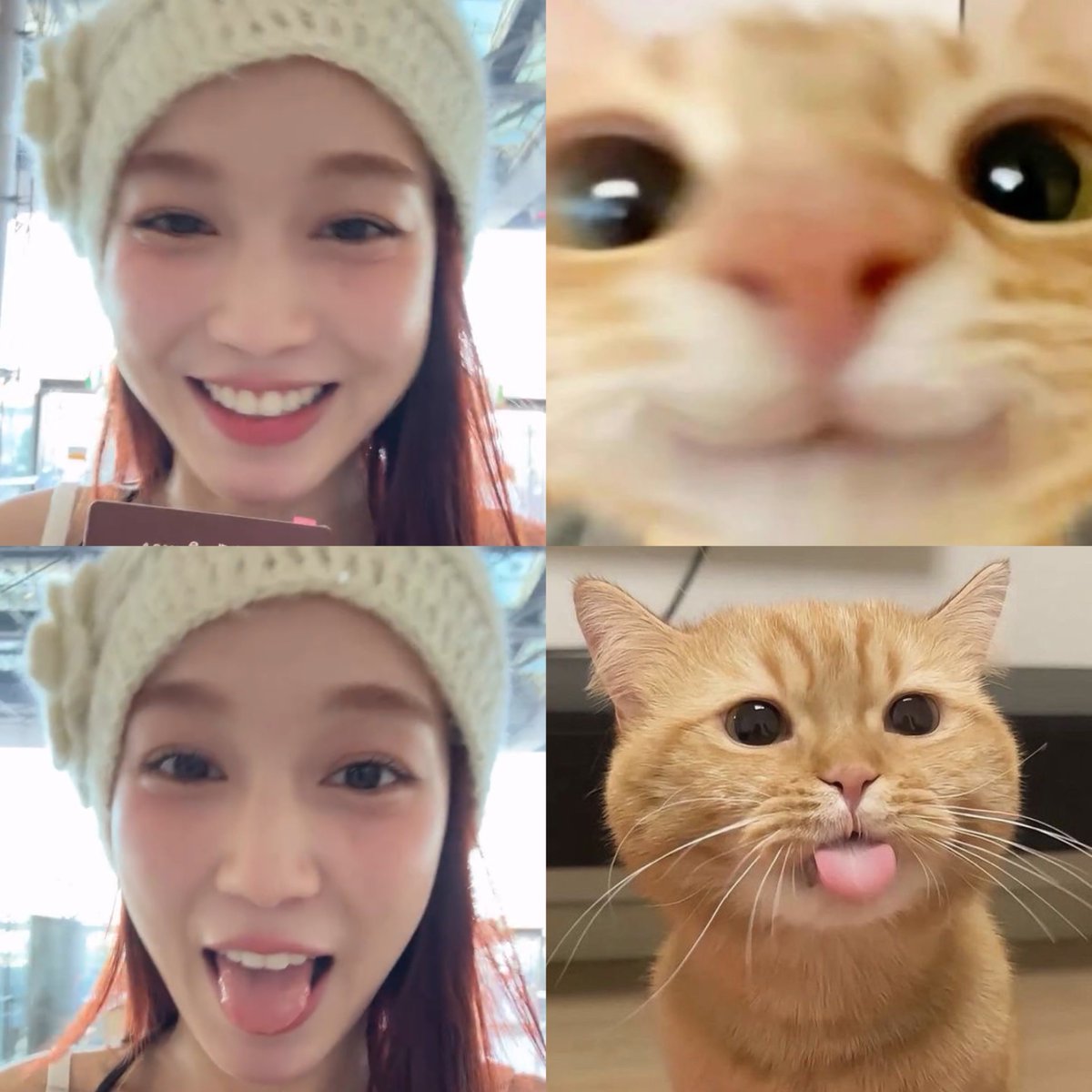 getmewheein's tweet image. 😸😛 #loverrukk