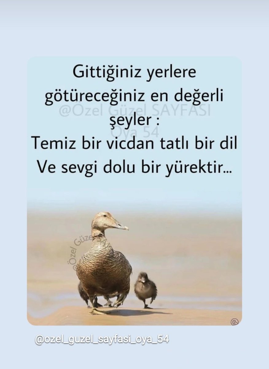 Yüreğinde tüm canlılara karşı sevgi ve merhamet barındıran herkese iyi geceler