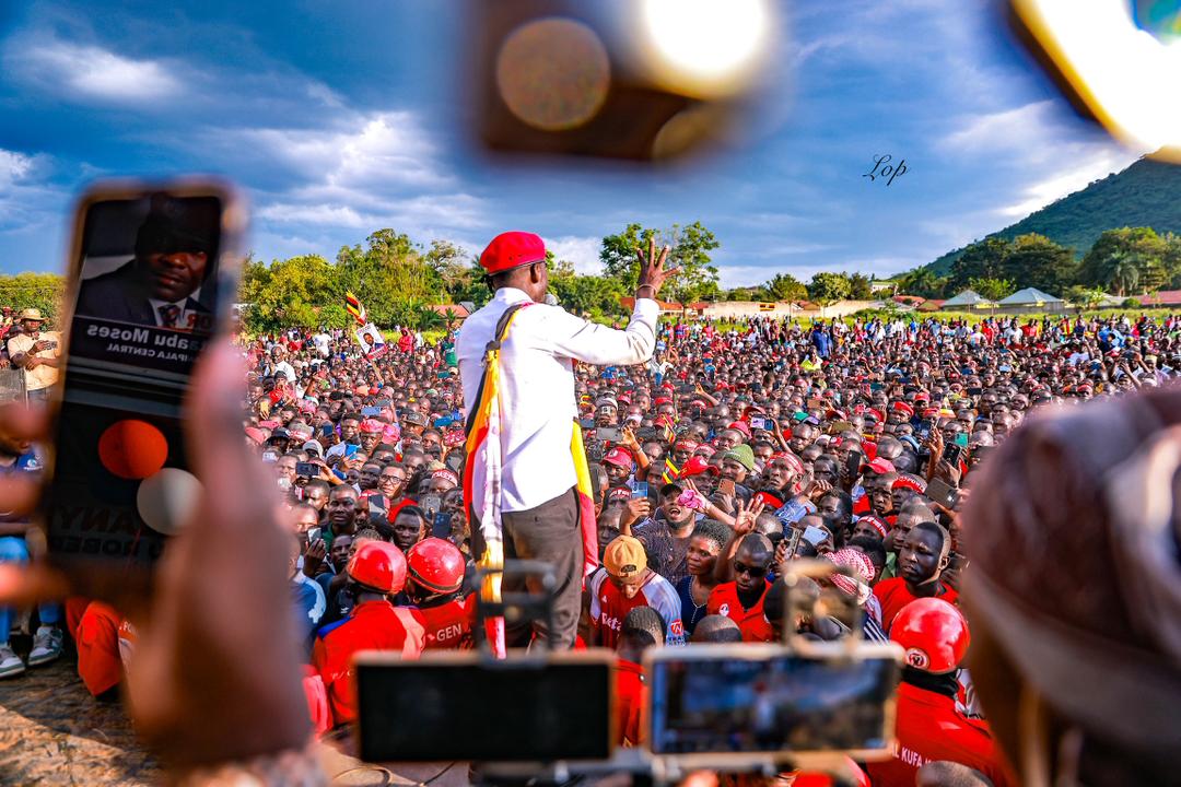 AIDEN KALIISA tweet media