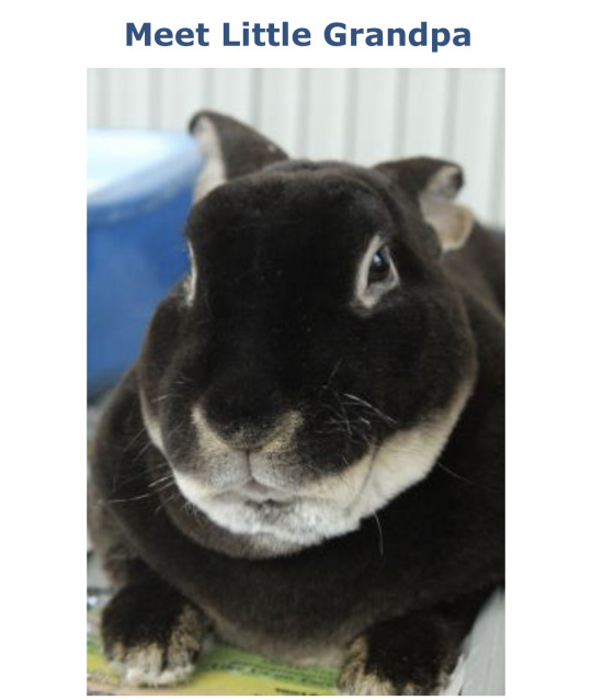 ATSUoVER tweet media