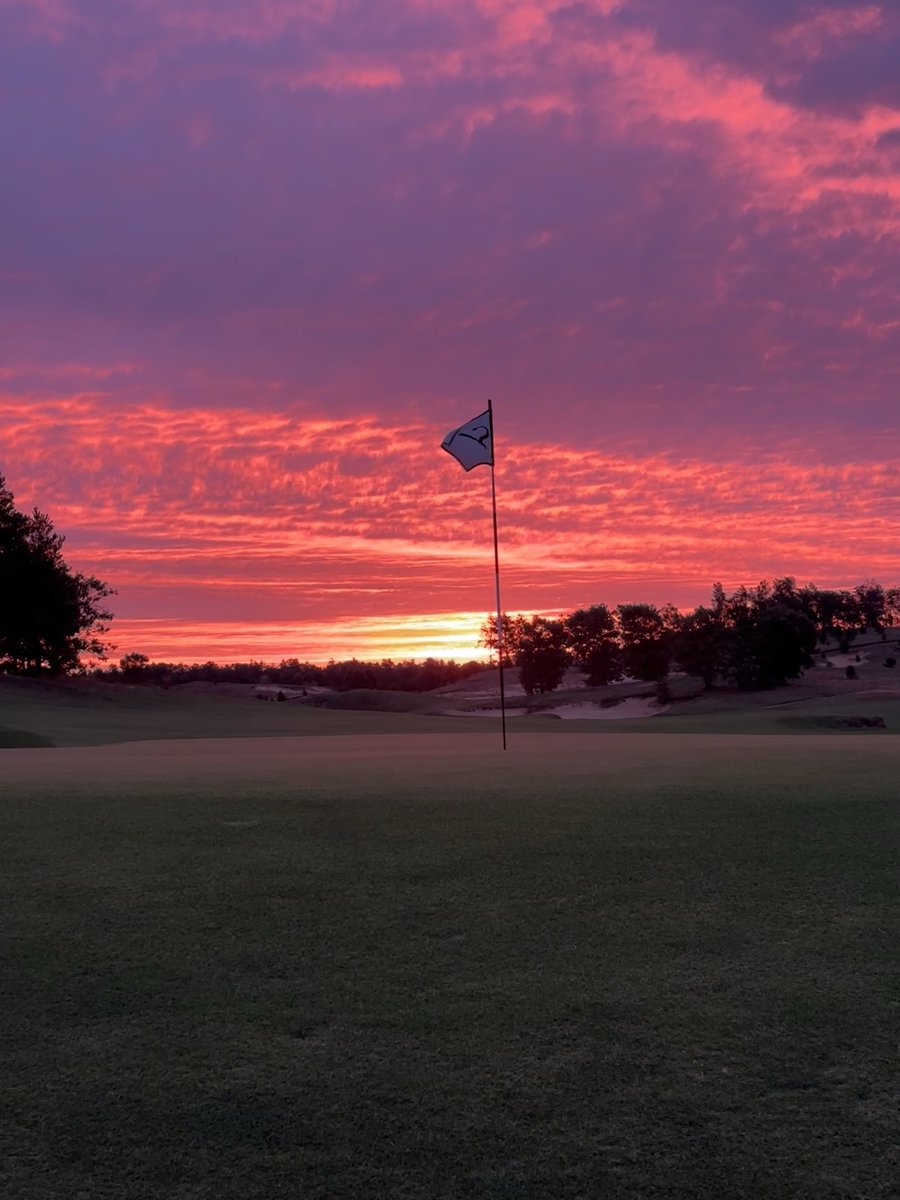 Tristan Wood tweet media