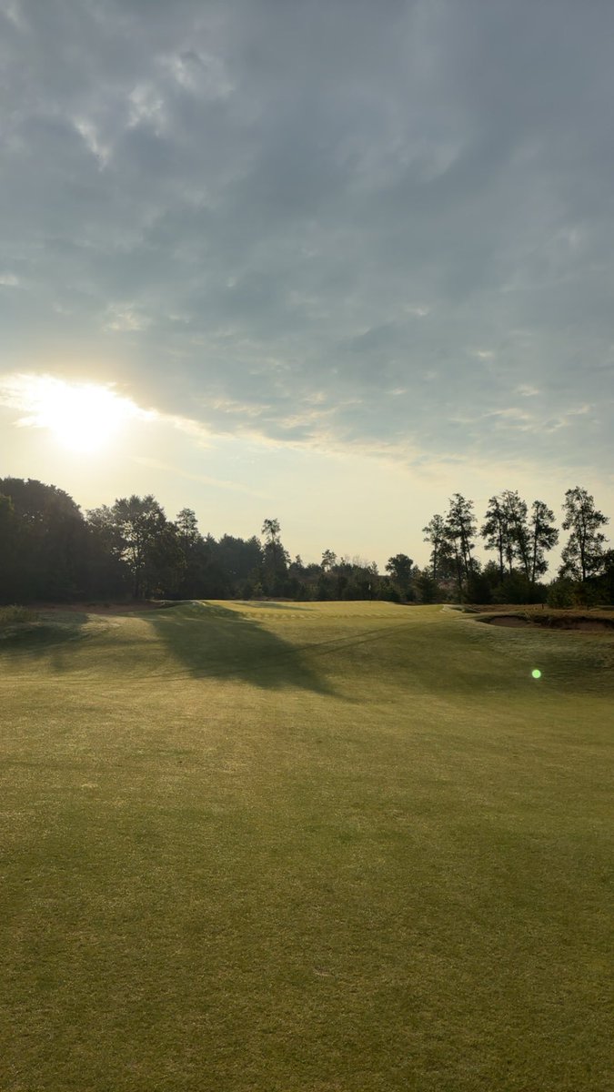 Tristan Wood tweet media