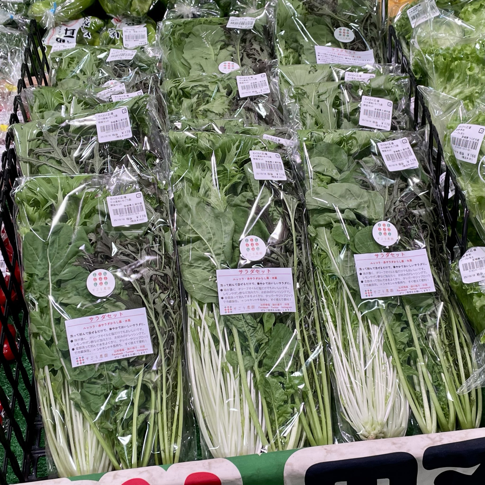 ミニ赤そら豆 ルッコラ のらぼう菜 ダイシモチ そごう農園 on X: 