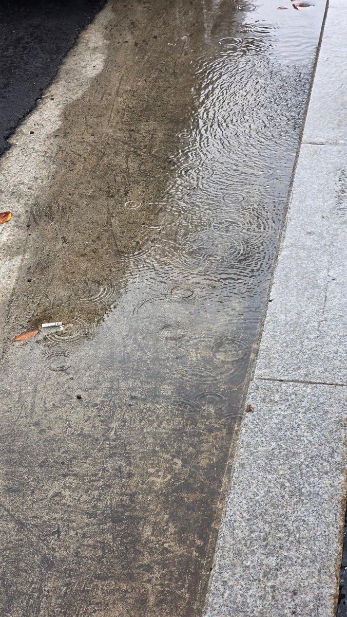 adyu_developer's tweet image. 쓰읍 멈추겠죠?