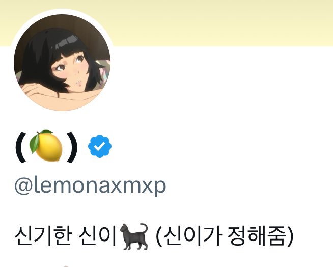 lemonaxmxp's tweet photo. 그렇게 내 바이오는 신기한 신이가 되었다🐈‍⬛ https://t.co/og6LYEC2TE