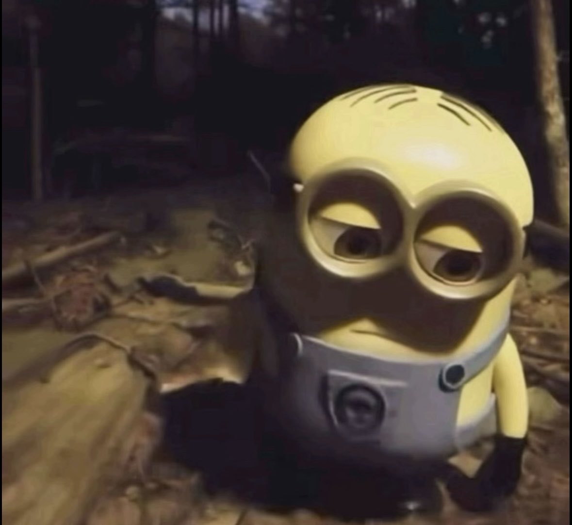 ˖ (@aswfg_) on Twitter photo 