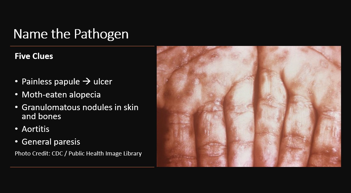 CardiovascularCorner tweet media