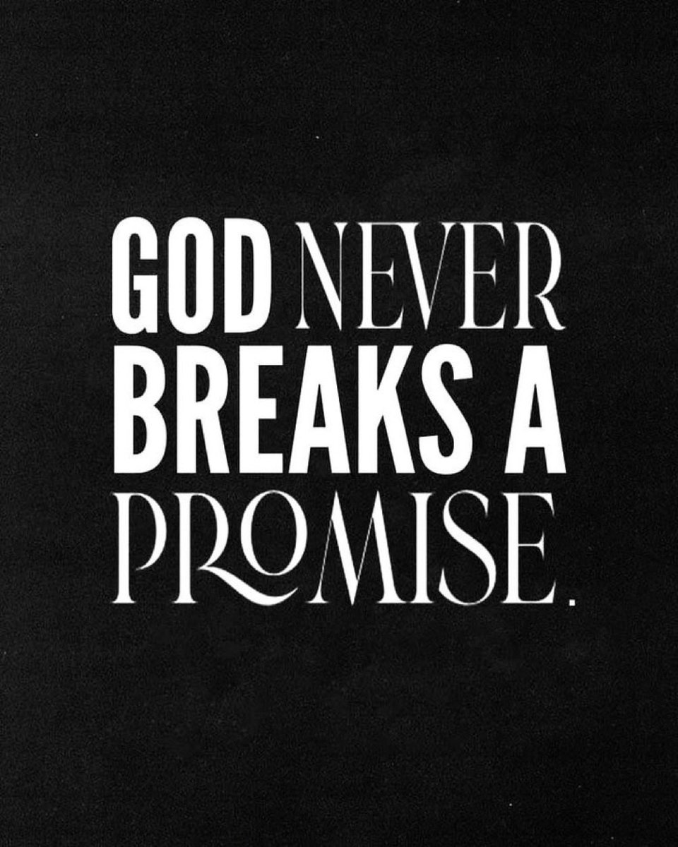 Trust God Brah (@trustgodbrah) on Twitter photo 