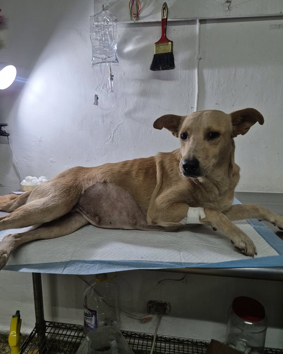 Bery Zamora tweet media